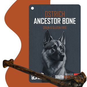 Snackabone Ostrich Ancestor Bone (Main)