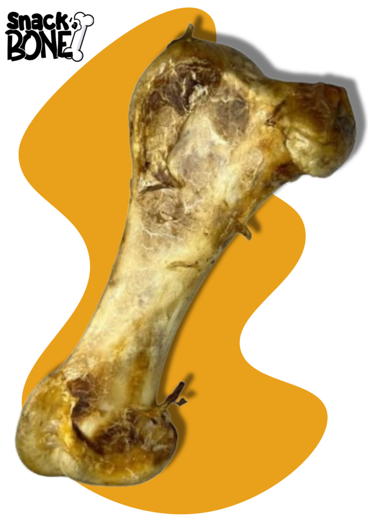 Ostrich Rex bone for Dogs - Large Ostrich bone