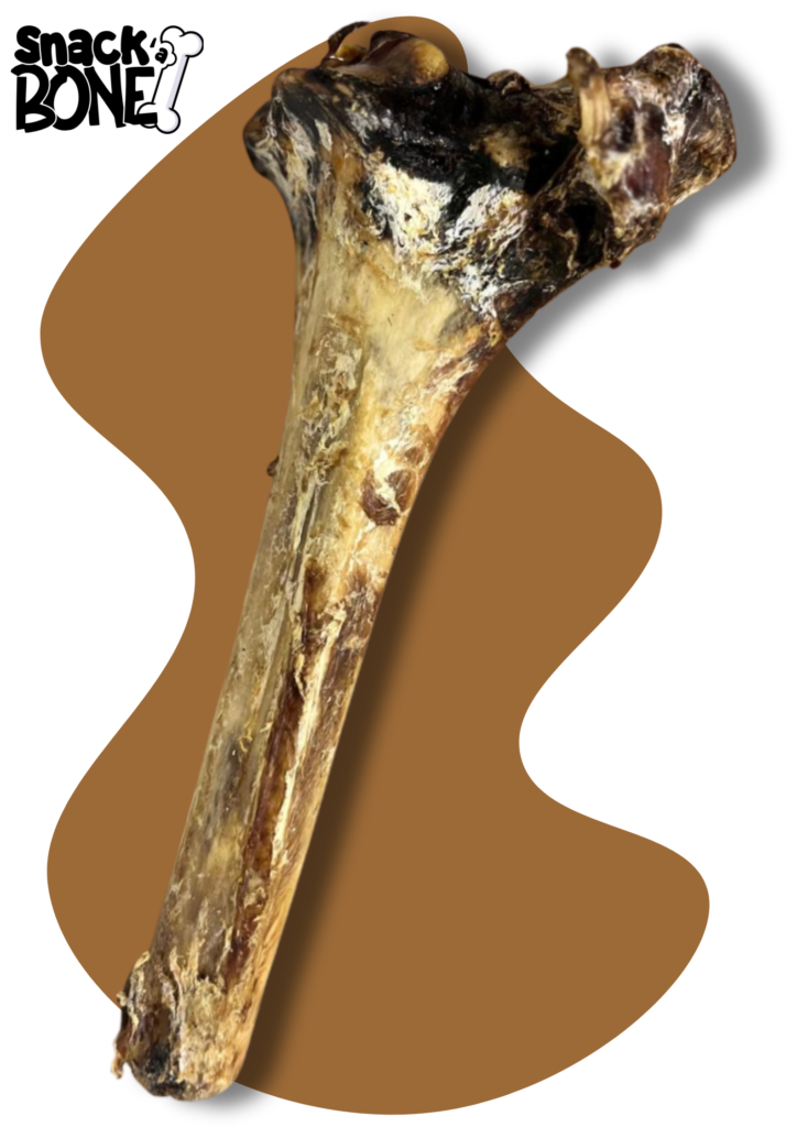 A Image of Snackabone's Ostrich Shin Bone - Best Ostrich Bones Provider for Dogs in UK