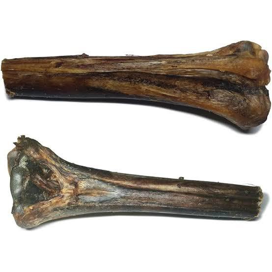 Snackabone Ostrich Tarsal Bone with a White background